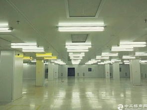 松山湖滴水十米钢结构厂房,可以装行车