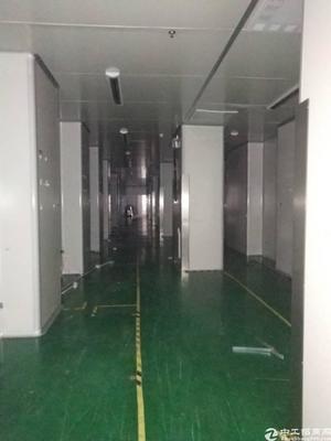 【长安厂房出租】长安镇新出原房东厂房招租中无尘车间,行车,风铃等全部现成