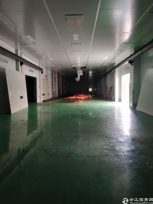 【长安厂房出租】长安镇新出原房东厂房招租中无尘车间,行车,风铃等全部现成